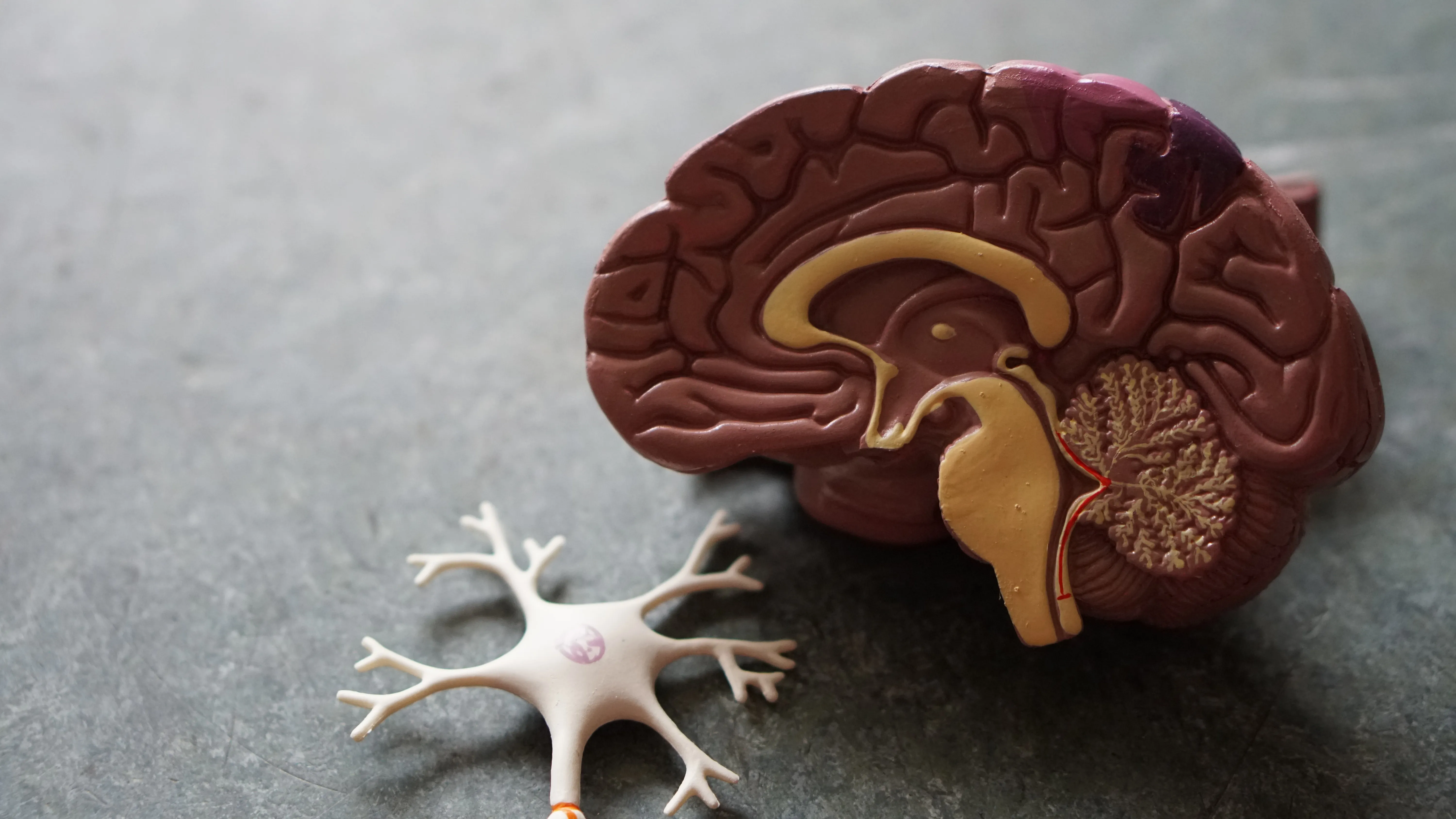 Visualisation du succès : programmez votre cerveau pour arrêter de fumer